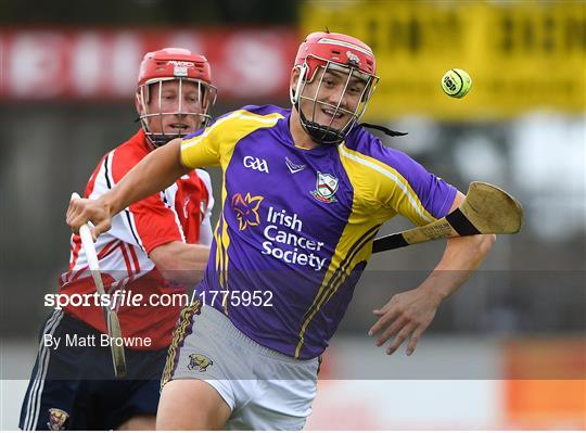 Hurling for Cancer Research 2019 Hurling for Cancer Research 2019