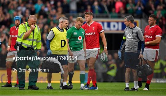 Ireland v Wales - Guinness Summer Series Ireland v Wales - Guinness Summer Series