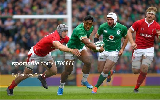 Ireland v Wales - Guinness Summer Series Ireland v Wales - Guinness Summer Series