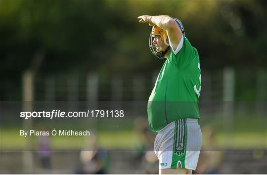 Tipperary v Limerick - Alzheimer Society Legends Hurling Game