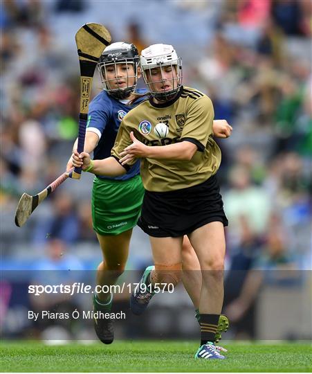 Kerry v Limerick - Liberty Insurance All-Ireland Premier Junior Camogie Championship Final Kerry v Limerick - Liberty Insurance All-Ireland Premier Junior Camogie Championship Final