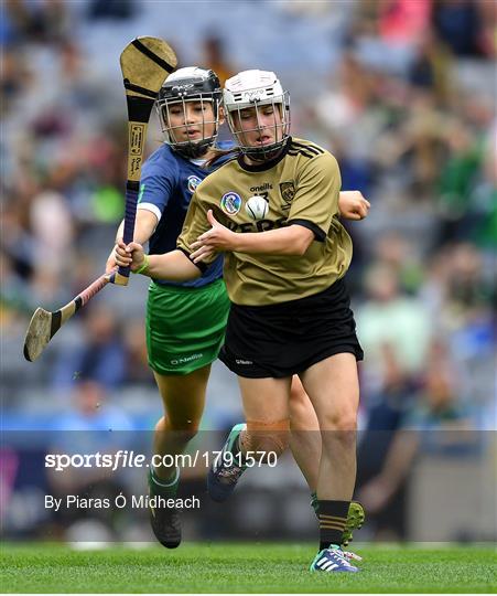 Kerry v Limerick - Liberty Insurance All-Ireland Premier Junior Camogie Championship Final