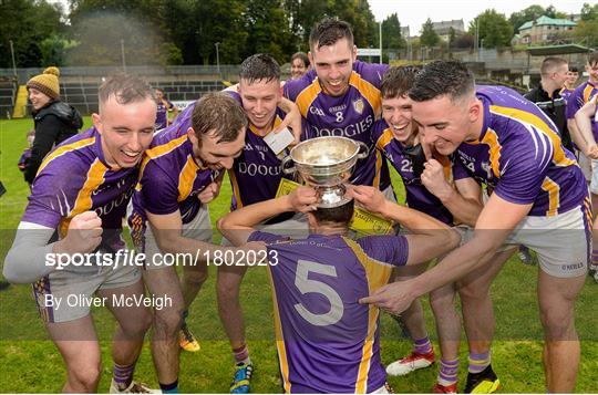 Derrygonnelly Harps v Roslea Shamrocks - Fermanagh County Senior Club Football Championship Final