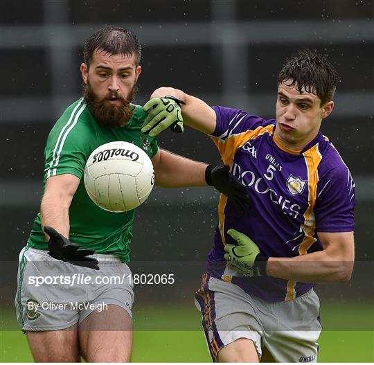 Derrygonnelly Harps v Roslea Shamrocks - Fermanagh County Senior Club Football Championship Final