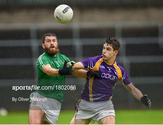 Derrygonnelly Harps v Roslea Shamrocks - Fermanagh County Senior Club Football Championship Final