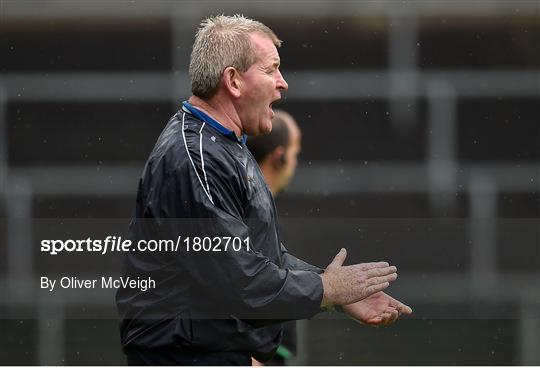 Derrygonnelly Harps v Roslea Shamrocks - Fermanagh County Senior Club Football Championship Final