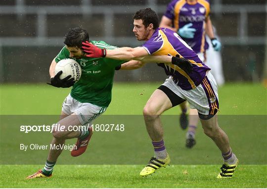 Derrygonnelly Harps v Roslea Shamrocks - Fermanagh County Senior Club Football Championship Final