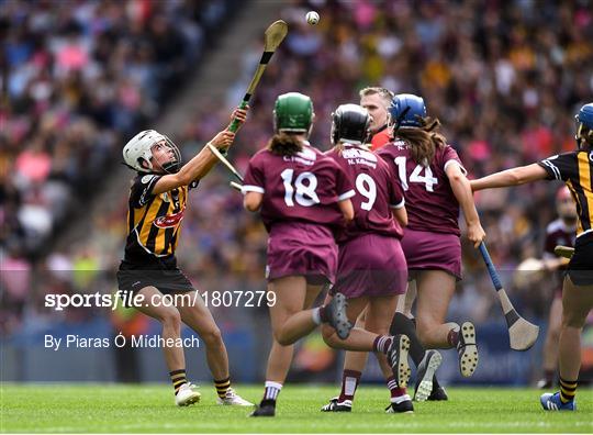 Galway v Kilkenny - Liberty Insurance All-Ireland Senior Camogie Championship Final