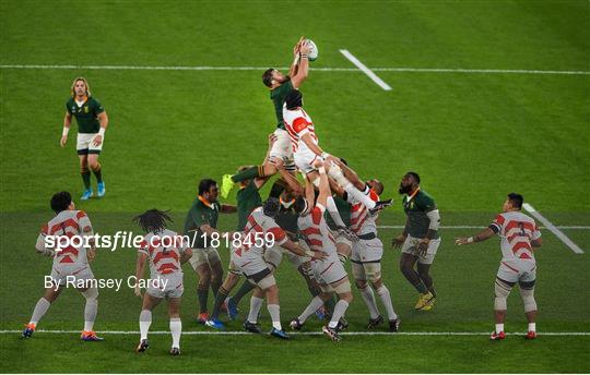 Japan v South Africa - 2019 Rugby World Cup Quarter-Final Japan v South Africa - 2019 Rugby World Cup Quarter-Final