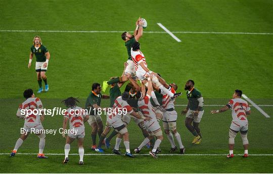 Japan v South Africa - 2019 Rugby World Cup Quarter-Final