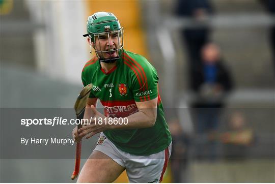 Birr v St Rynaghs - Offaly County Senior Club Hurling Championship Final