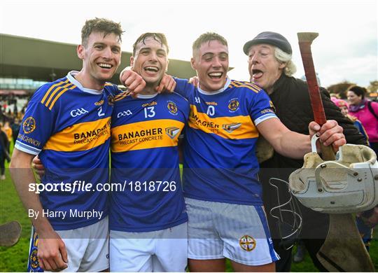 Birr v St Rynaghs - Offaly County Senior Club Hurling Championship Final