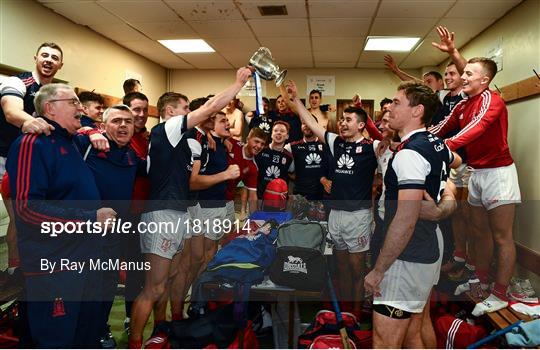 Cuala v St Brigids GAA - Dublin County Senior Club Hurling Campionship Final