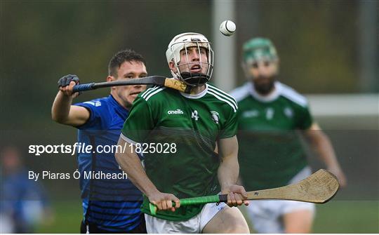 Ireland v Scotland - Senior Hurling Shinty International 2019