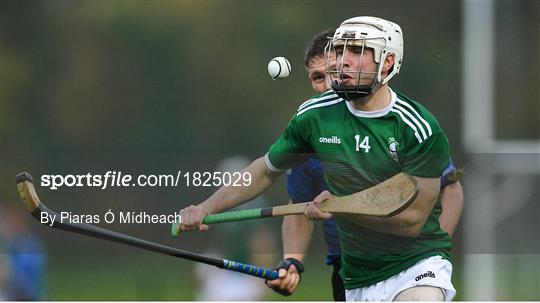 Ireland v Scotland - Senior Hurling Shinty International 2019