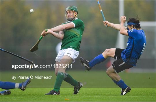 Ireland v Scotland - Senior Hurling Shinty International 2019