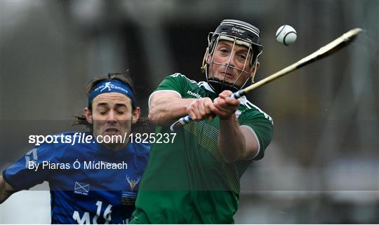 Ireland v Scotland - Senior Hurling Shinty International 2019