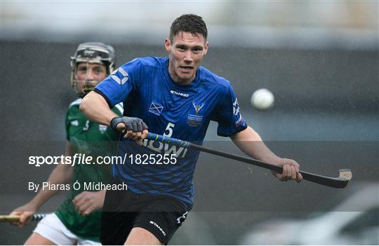 Ireland v Scotland - Senior Hurling Shinty International 2019