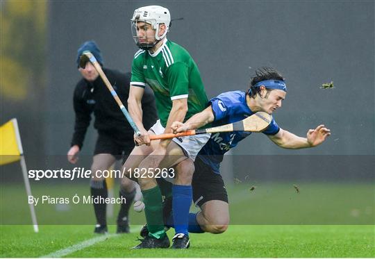 Ireland v Scotland - Senior Hurling Shinty International 2019 Ireland v Scotland - Senior Hurling Shinty International 2019