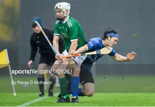 Ireland v Scotland - Senior Hurling Shinty International 2019