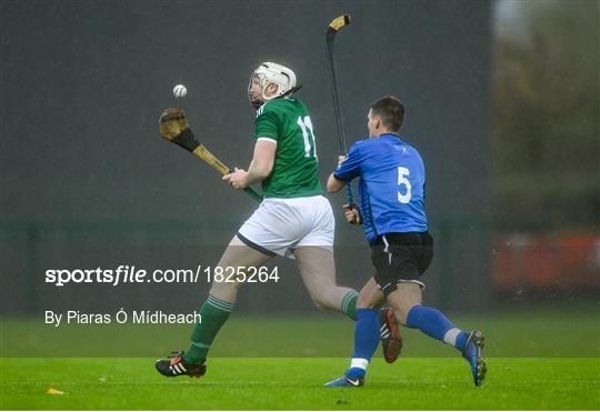 Ireland v Scotland - Senior Hurling Shinty International 2019