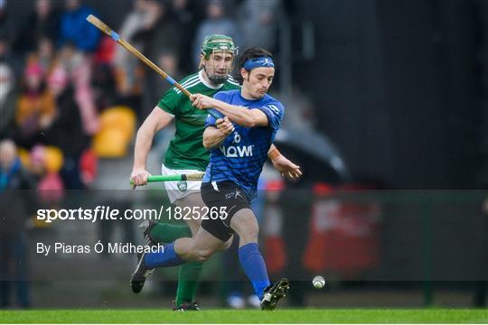 Ireland v Scotland - Senior Hurling Shinty International 2019