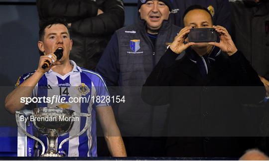 Thomas Davis v Ballyboden St Enda's - Dublin County Senior Club Football Championship Final