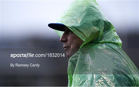 Leinster Rugby Squad Training and Press Conference