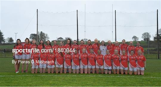 Kilkerrin - Clonberne v Foxrock - Cabinteely - All-Ireland Ladies Football Senior Club Championship Semi-Final