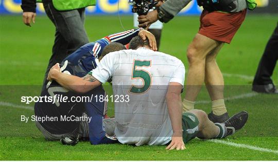 France v Republic of Ireland - FIFA 2010 World Cup Qualifying Play-off 2nd Leg