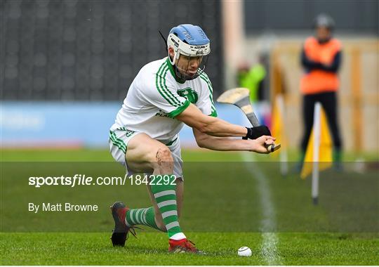 Ballyhale Shamrocks v St Martin's - AIB Leinster GAA Hurling Senior Club Championship semi-final Ballyhale Shamrocks v St Martin's - AIB Leinster GAA Hurling Senior Club Championship semi-final