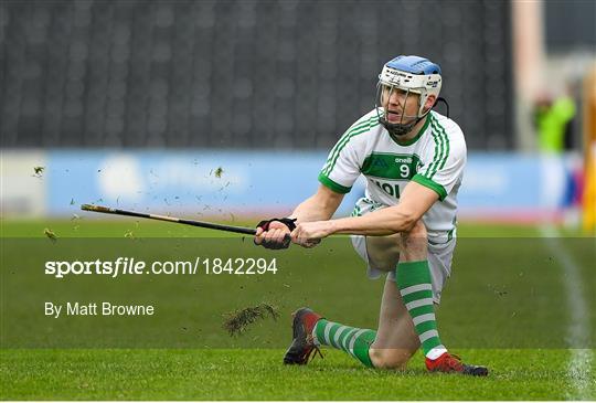 Ballyhale Shamrocks v St Martin's - AIB Leinster GAA Hurling Senior Club Championship semi-final Ballyhale Shamrocks v St Martin's - AIB Leinster GAA Hurling Senior Club Championship semi-final