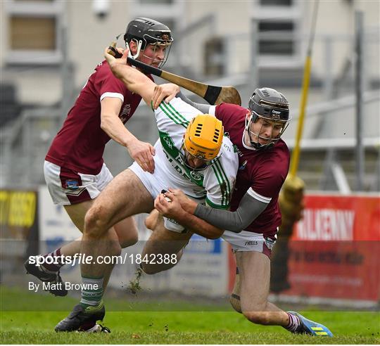 Ballyhale Shamrocks v St Martin's - AIB Leinster GAA Hurling Senior Club Championship semi-final