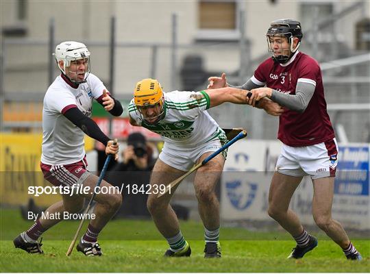 Ballyhale Shamrocks v St Martin's - AIB Leinster GAA Hurling Senior Club Championship semi-final Ballyhale Shamrocks v St Martin's - AIB Leinster GAA Hurling Senior Club Championship semi-final