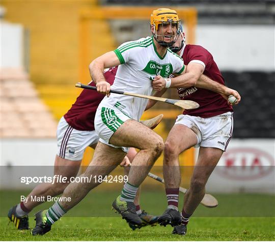 Ballyhale Shamrocks v St Martin's - AIB Leinster GAA Hurling Senior Club Championship semi-final