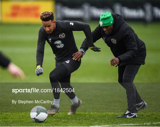 Republic of Ireland Training Session Republic of Ireland Training Session