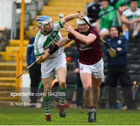 Ballyhale Shamrocks v St Martin's - AIB Leinster GAA Hurling Senior Club Championship semi-final Ballyhale Shamrocks v St Martin's - AIB Leinster GAA Hurling Senior Club Championship semi-final