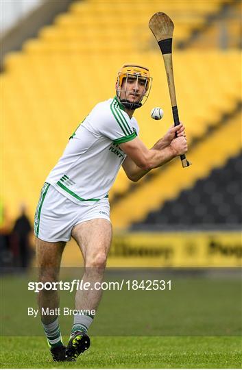 Ballyhale Shamrocks v St Martin's - AIB Leinster GAA Hurling Senior Club Championship semi-final