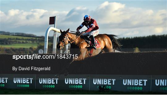 Horse Racing from Punchestown Horse Racing from Punchestown