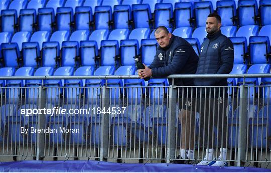 Leinster Rugby Squad Training and Press Conference