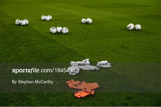 Republic of Ireland v Denmark - UEFA EURO2020 Qualifier Republic of Ireland v Denmark - UEFA EURO2020 Qualifier