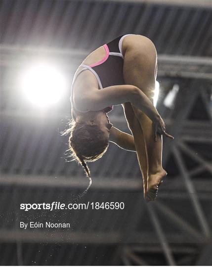 2019 Irish Open Diving Championships