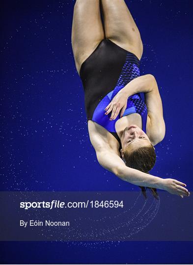 2019 Irish Open Diving Championships