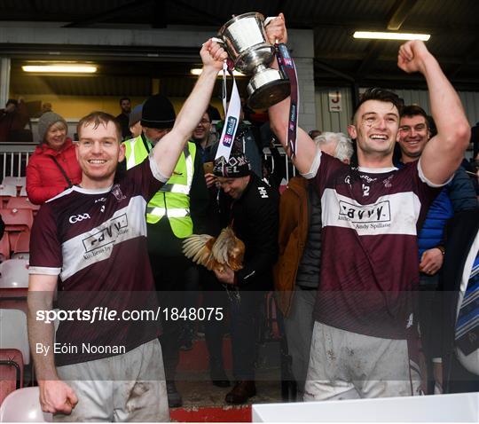 Ballygunner v Borris-Ileigh - AIB Munster GAA Hurling Senior Club Championship Final