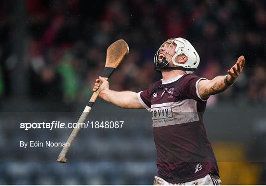 Ballygunner v Borris-Ileigh - AIB Munster GAA Hurling Senior Club Championship Final Ballygunner v Borris-Ileigh - AIB Munster GAA Hurling Senior Club Championship Final