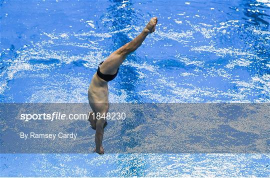 2019 Irish Open Diving Championships