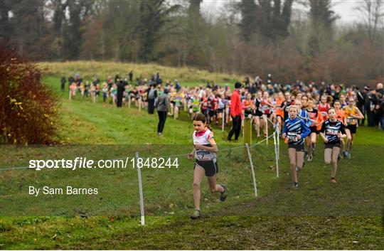 Irish Life Health National Senior, Junior & Juvenile Even Age Cross Country Championships