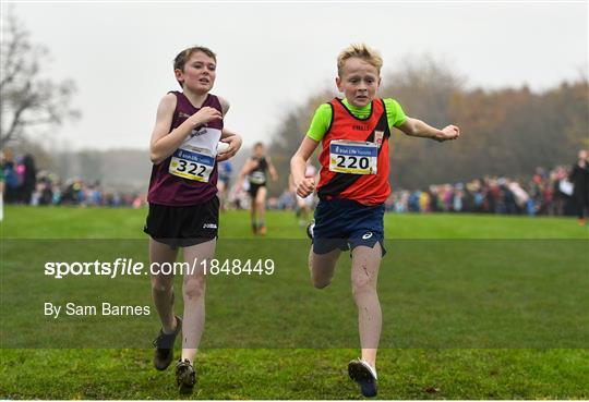Irish Life Health National Senior, Junior & Juvenile Even Age Cross Country Championships