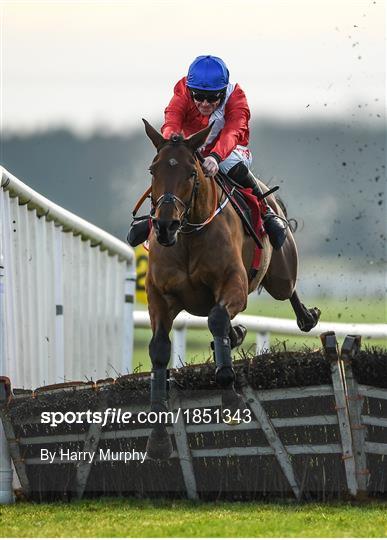 Fairyhouse Winter Festival - Day 2