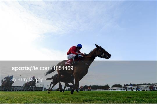 Fairyhouse Winter Festival - Day 2